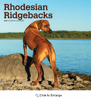 2025 Rhodesian Ridgebacks Calendar