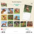 2025 Rhodesian Ridgebacks Calendar