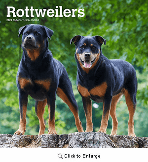 2025 Rottweilers Calendar