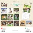 2025 Saint Bernards Calendar
