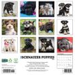 2025 Schnauzer Puppies Calendar Willow Creek Press