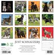 2025 Schnauzers Calendar Willow Creek