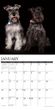 2025 Schnauzers Calendar Willow Creek