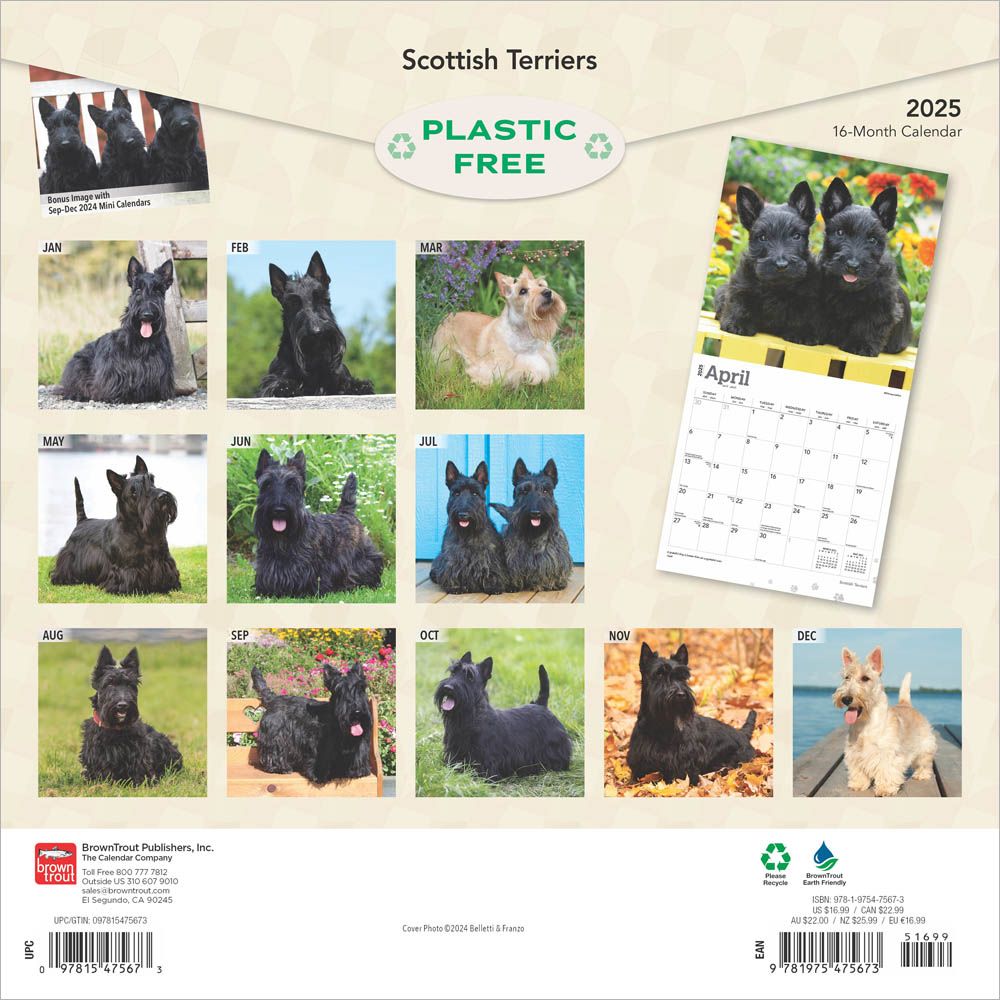 Scottish Terriers Calendar 2025Animal Den