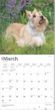 2025 Scottish Terriers Calendar