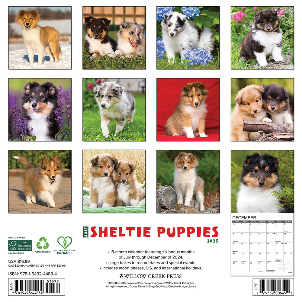 Sheltie Puppies Calendar