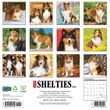 2025 Shelties Calendar Willow Creek Press