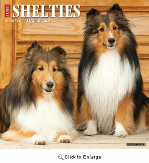 2025 Shelties Calendar Willow Creek Press