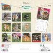 2025 Shiba Inu Calendar