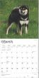 2025 Shiba Inu Calendar