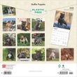 2025 Staffordshire Bull Terrier Puppies Calendar