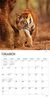 Tigers Calendar 2025Animal Den