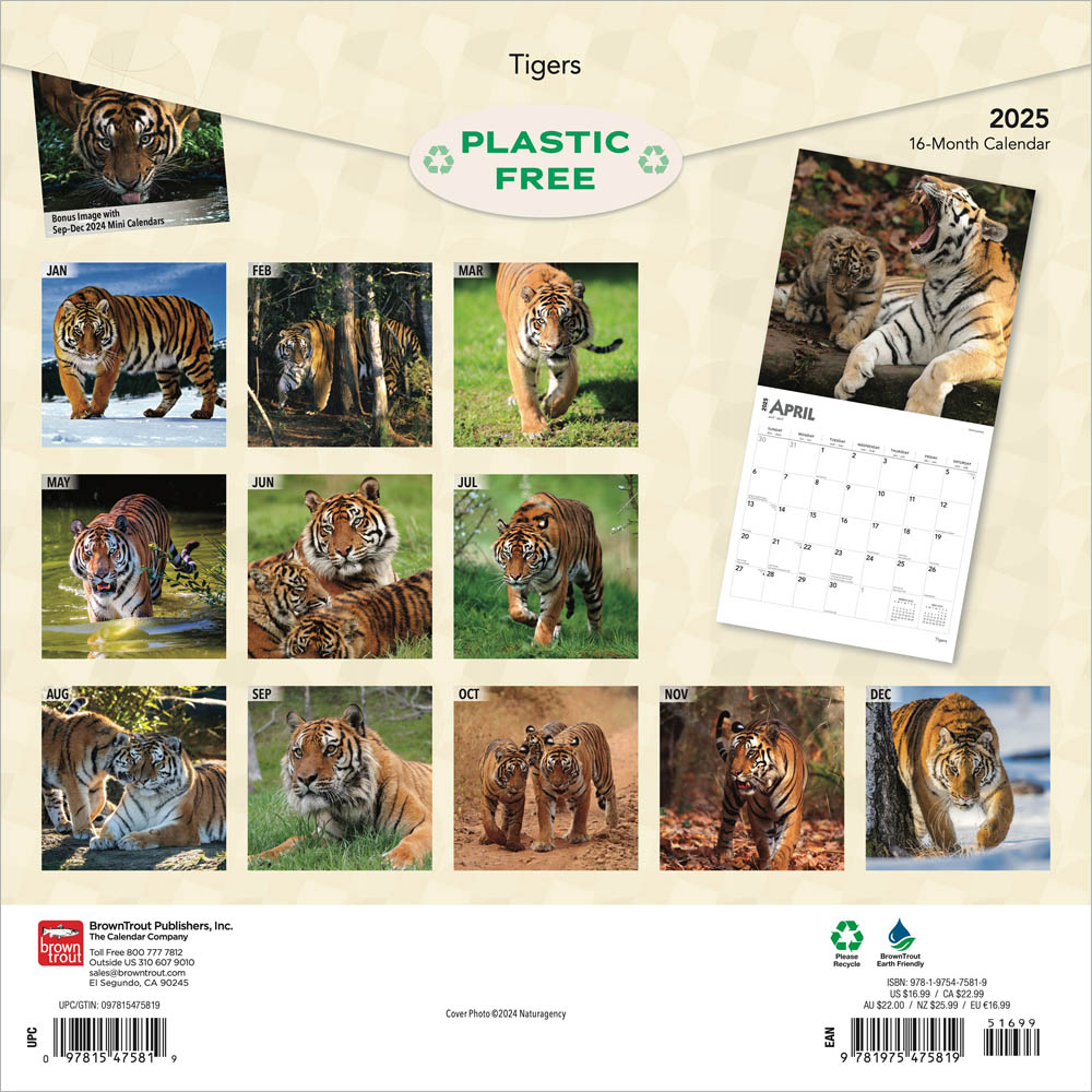 Tigers Calendar 2025Animal Den
