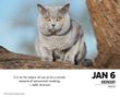 2025 What Cats Teach Us Box Calendar Willow Creek