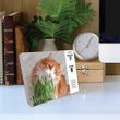 2025 What Cats Teach Us Box Calendar Willow Creek
