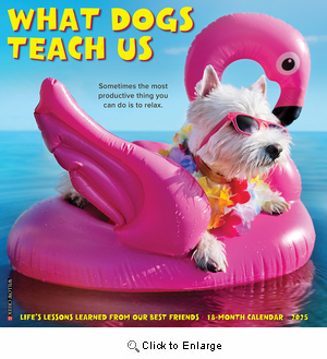 2025 What Dogs Teach Us Calendar Willow Creek