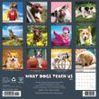 2025 What Dogs Teach Us Calendar Willow Creek
