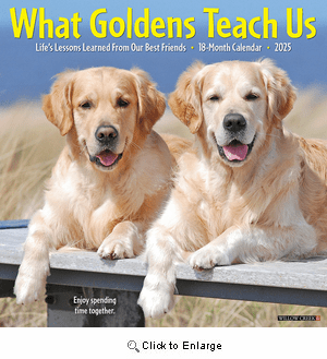 2025 What Goldens Teach Us Calendar Willow Creek