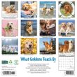 2025 What Goldens Teach Us Calendar Willow Creek