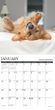 2025 What Goldens Teach Us Calendar Willow Creek