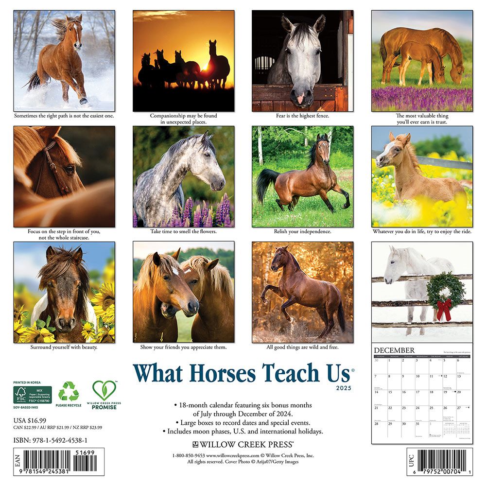 thumbnail image 2 of Rooster Calendar 2025 Horses 2026 Mini Wall Calendar Advent Calendar Dinosaurs 2 of 10