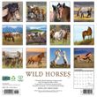 2025 Wild Horses Calendar