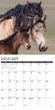 2025 Wild Horses Calendar