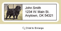 Affenpinscher Address Labels