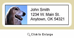 Afghan Hound Address Labels
