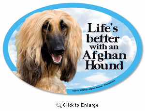 Afghan Hound Car Magnet - Life's Better