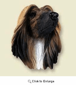 Afghan Hound Magnet