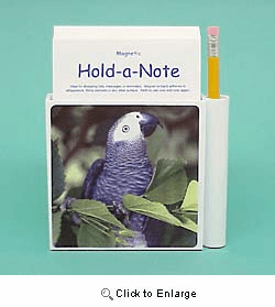African Gray Parrot Hold-a-Note