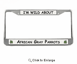 African Gray Parrot License Plate Frame