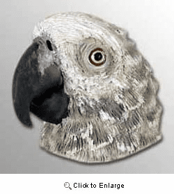 African Gray Parrot Magnet