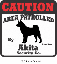 Akita Bumper Sticker Caution