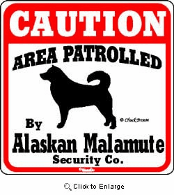 Alaskan Malamute Caution Sign