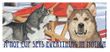 Alaskan Malamute Coffee Mug