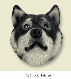 Alaskan Malamute Magnet