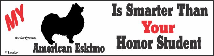 American Eskimo Dog Bumper Sticker Honor Student