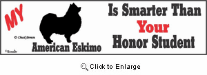 American Eskimo Dog Bumper Sticker Honor Student