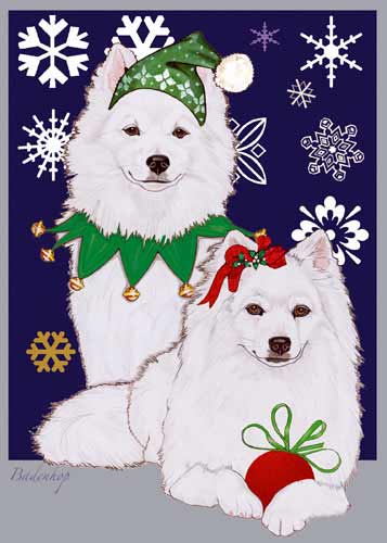 American Eskimo Dog Christmas Cards