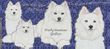 American Eskimo Dog Coffee Mug
