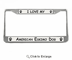 American Eskimo Dog License Plate Frame