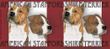 American Staffordshire Coffee Mug