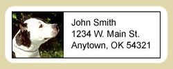 American Staffordshire Terrier Address Labels