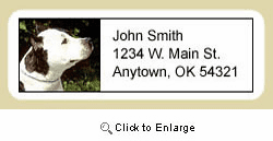 American Staffordshire Terrier Address Labels