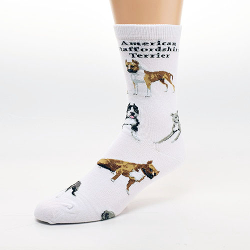 American Staffordshire Terrier Poses 2 Socks