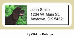 American Water Spaniel Address Labels
