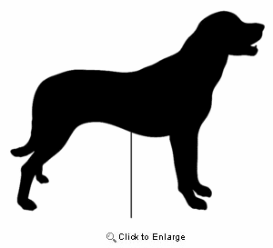 Anatolian Shepherd Garden Stake