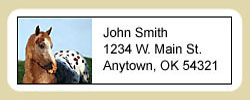 Appaloosa Horse Address Labels